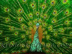 Peacock Batik Canvas Print 18x24"